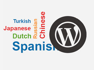 WordPress Tema Çevirisi Nasıl Yapılır?
